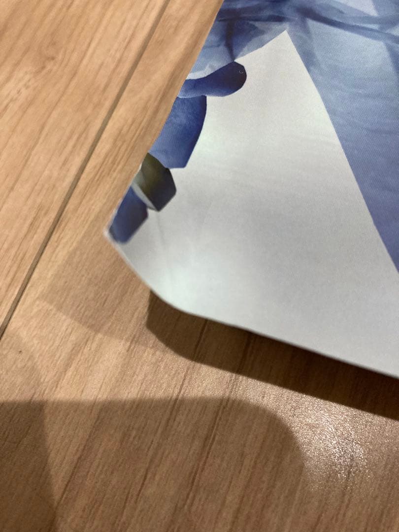 裁断済み　ウォーモルド内視鏡下鼻副鼻腔・頭蓋底手術