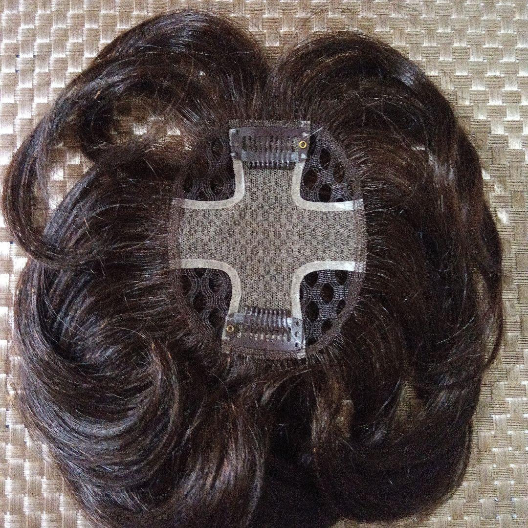 アートネイチャー JOジュリア・オージェ （部分ウイッグ）