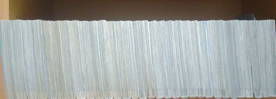 ダンス・ダンス・ダンスール