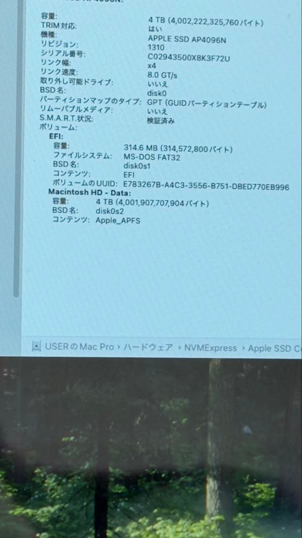 内蔵型SSD APPLE SSD H2TB EMC 3197 (2TBx2) 4TB NVMe