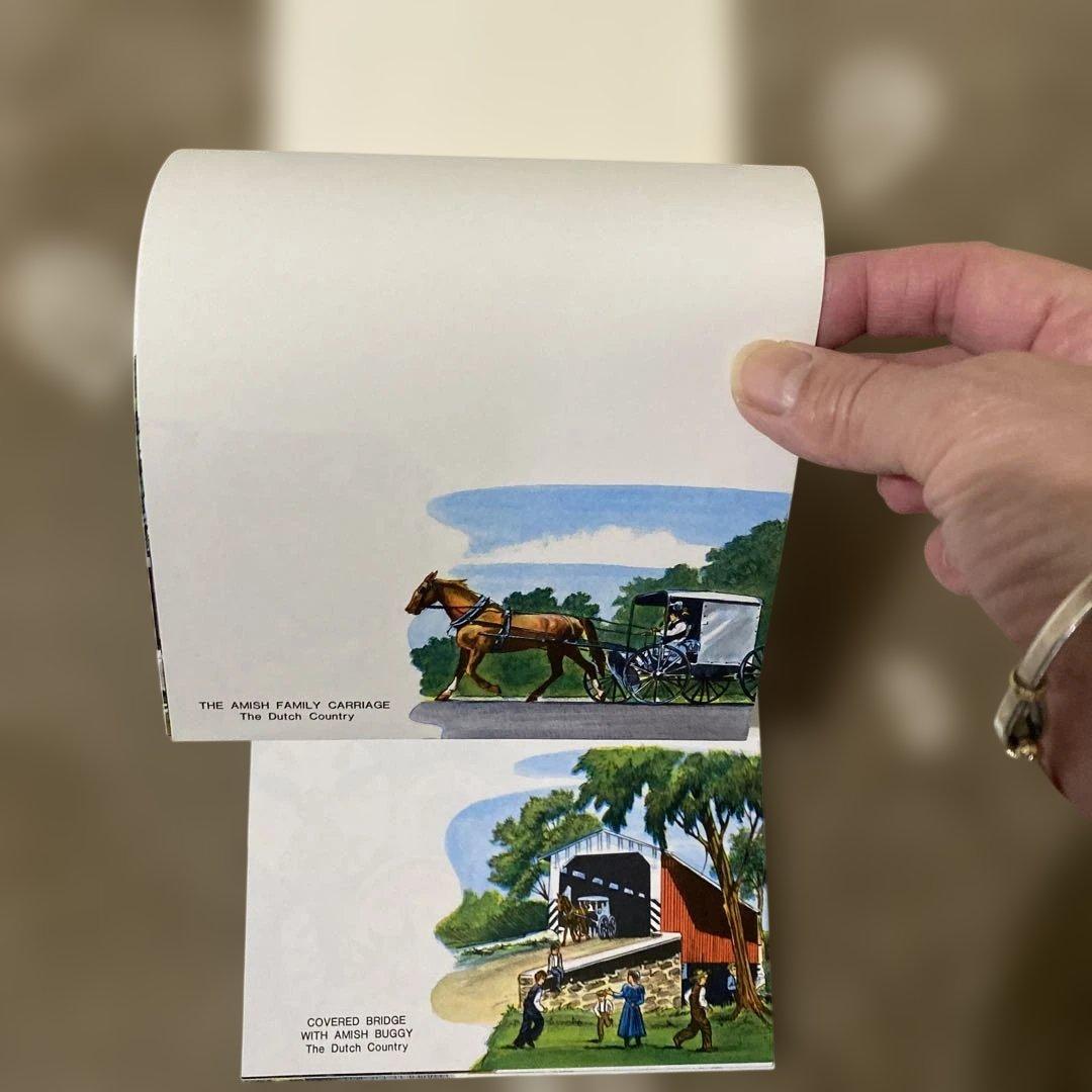 Amish アーミッシュの馬車