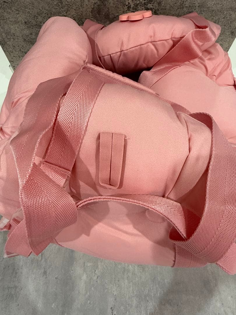 【新品】犬服　ペット　ドライブボックス　キャリーバッグ