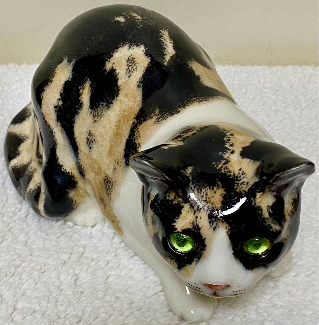 ウィンスタンレイキャット　ケンジントンキャット✨真緑の瞳✨激レア三毛猫✨サイズ5