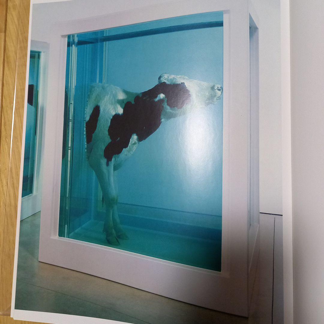 洋書ダミアン.ハースト作品集　BEYOND BERIEF 2008年　イギリス