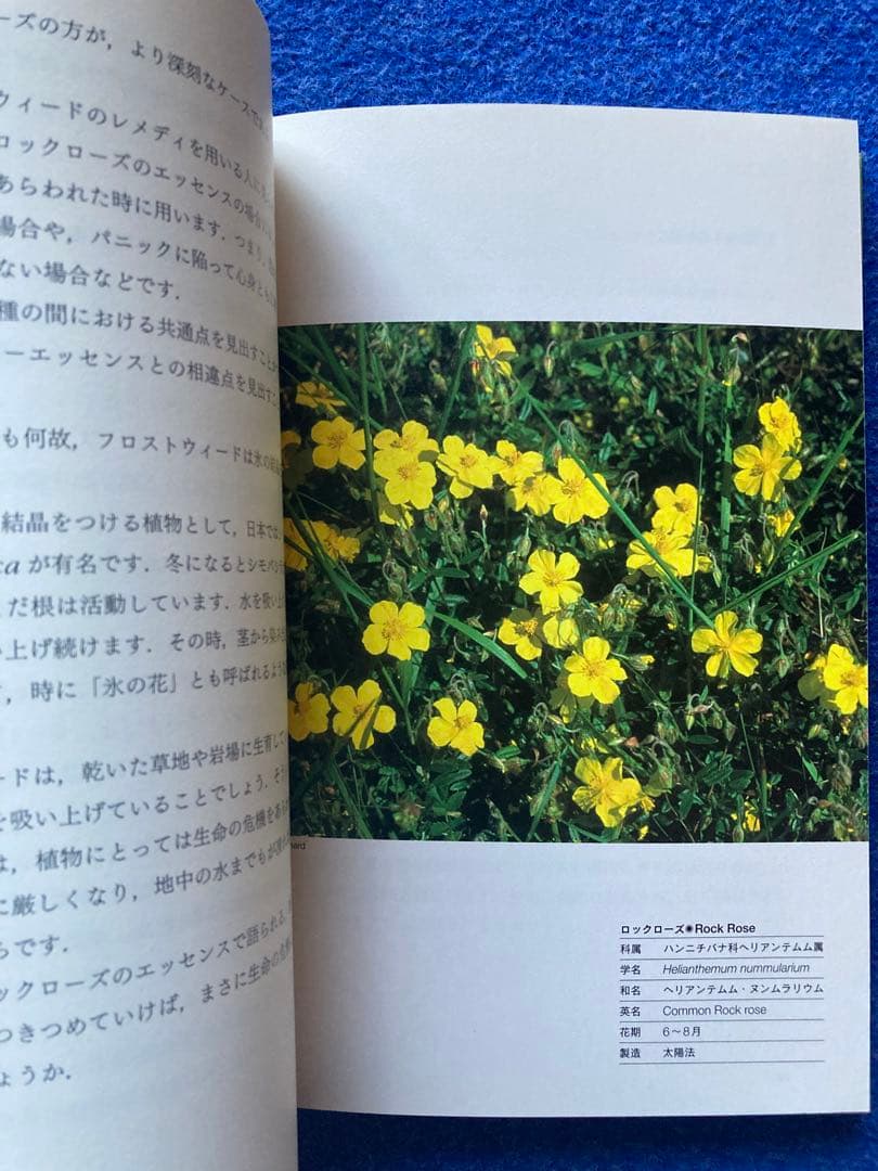 バッチフラワー花と錬金術　東 昭史