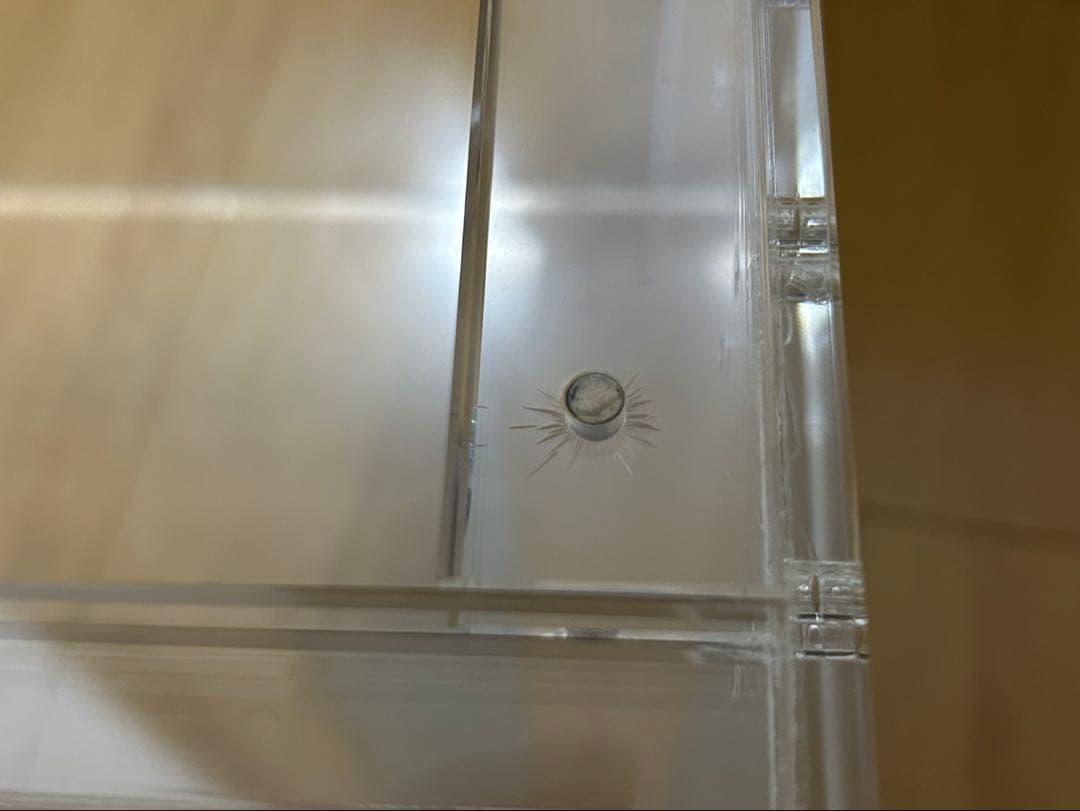 アクリル飼育ケージ 通気孔付き 3個セット