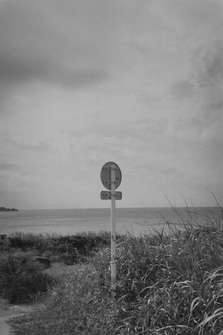 Rollei 35S 実写例あり