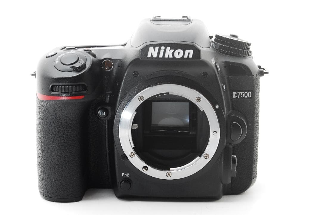 収納バッグ付き高画質D7500＋標準＆望遠レンズセット