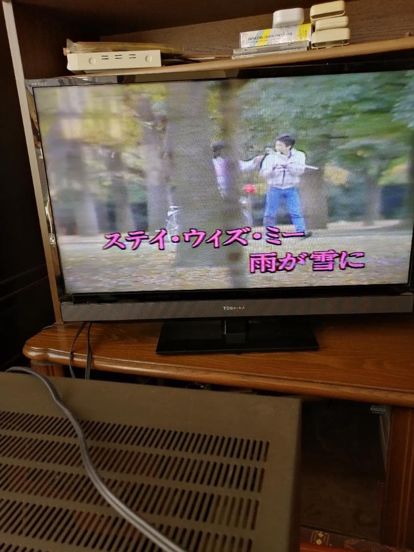 はらぺこあおむし　DKレーザーディスク150枚