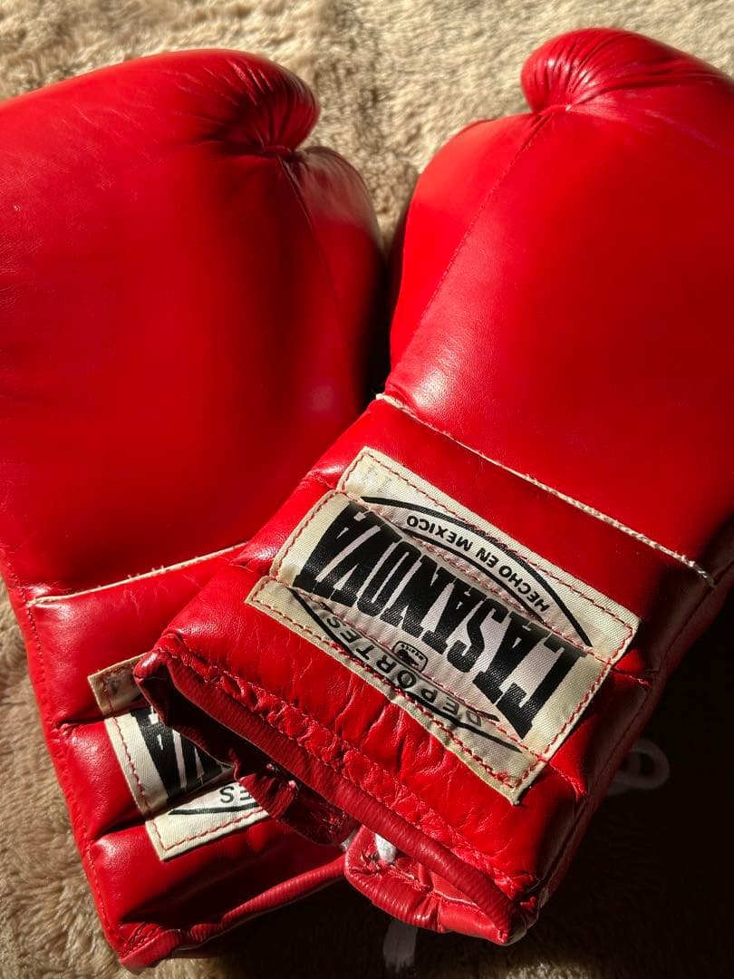 カサノヴァボクシンググローブ