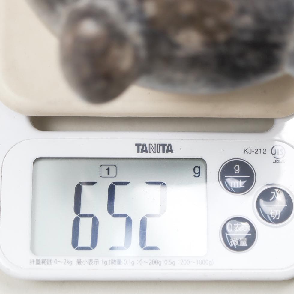 チムー文化 Chimu ペルー アンデス土器 鐙口壺