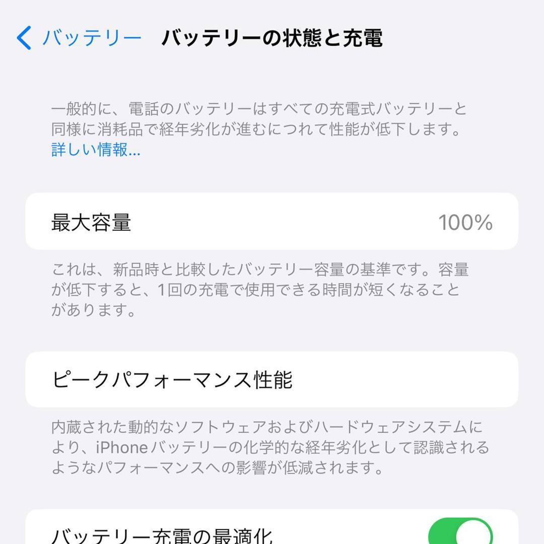 iPhone 13 Pro Max 256GB シエラブルー本体