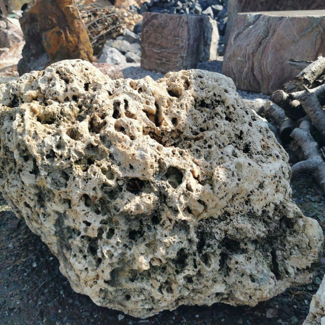 サンゴ石　119キロ　庭石　石　鑑賞石 石材　庭　ガーデニング　置物　オブジェ