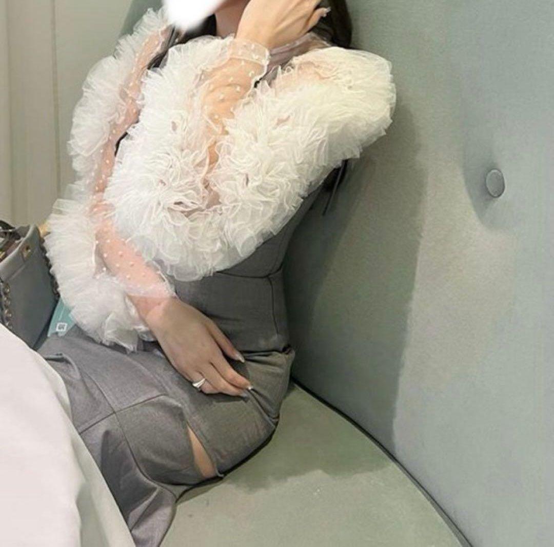 bibiy. CAMILLE SHEER TOP チュールトップス【タグ付き】