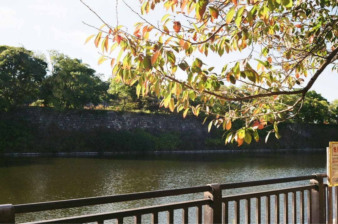 整備品Canon Canonet QL17 G-III レンジファインダー