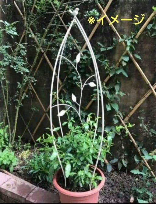 2個セット　白　ミニオベリスク トレリス 鳥 ガーデニング　支柱 バラ つる花