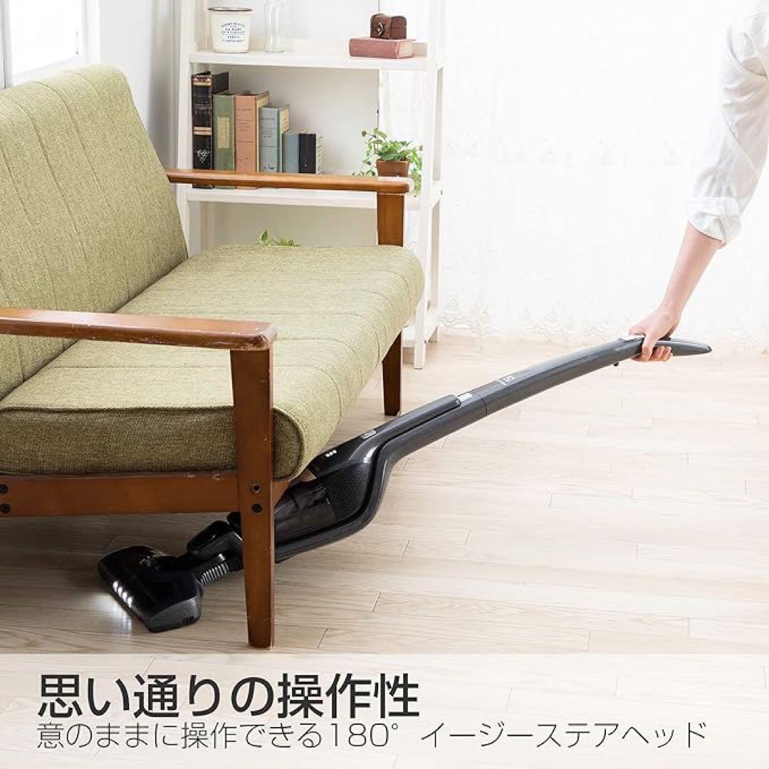 エルゴラピードリチュウムZB3513DB