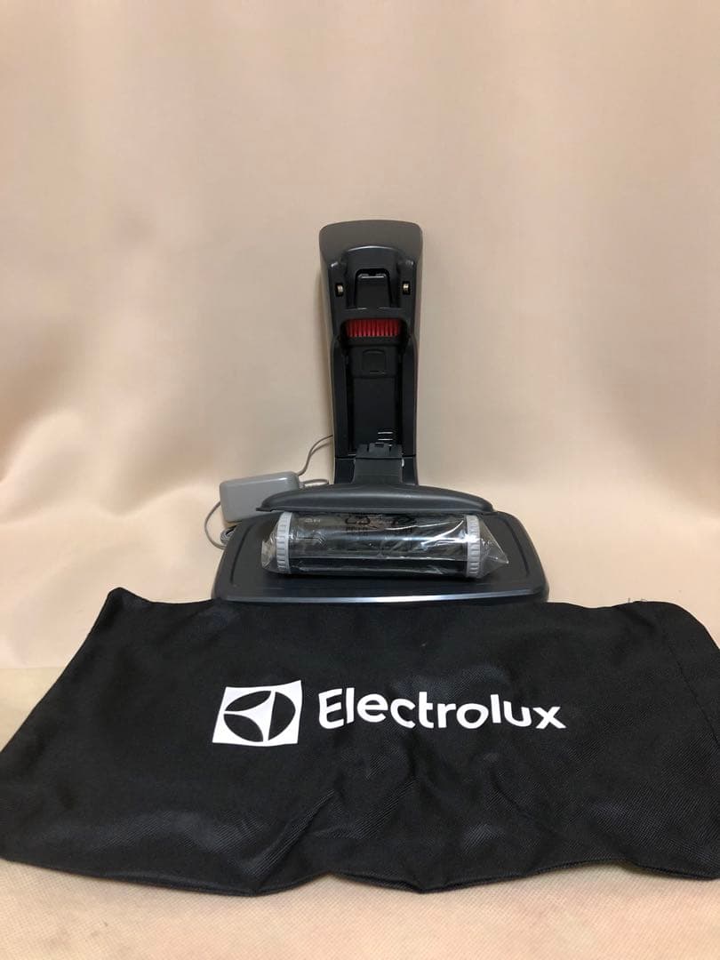 エルゴラピードリチュウムZB3513DB