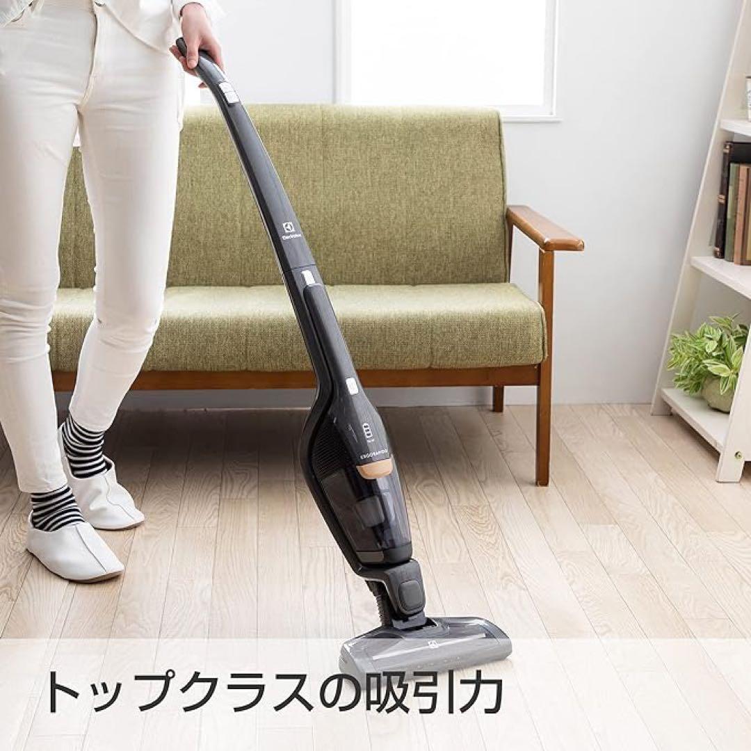 エルゴラピードリチュウムZB3513DB