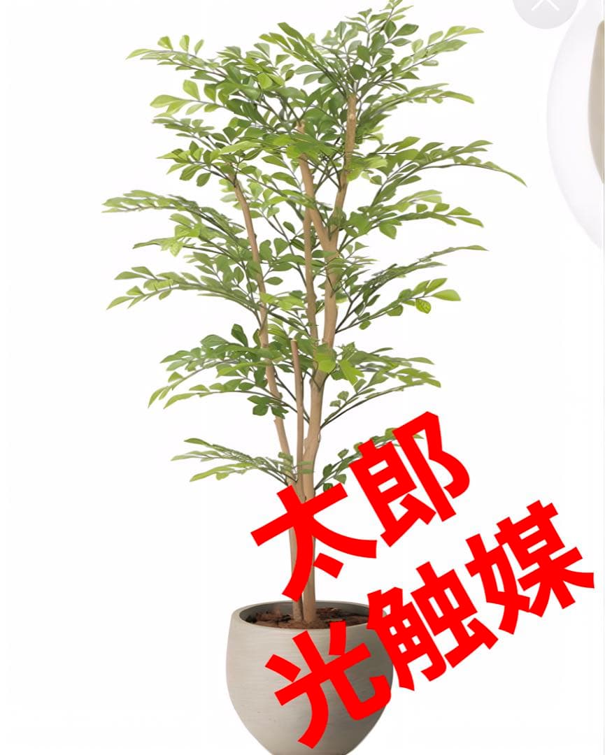 光触媒　人工観葉植物　フェイクグリーン　ナチュラルライトトネリコ1.1
