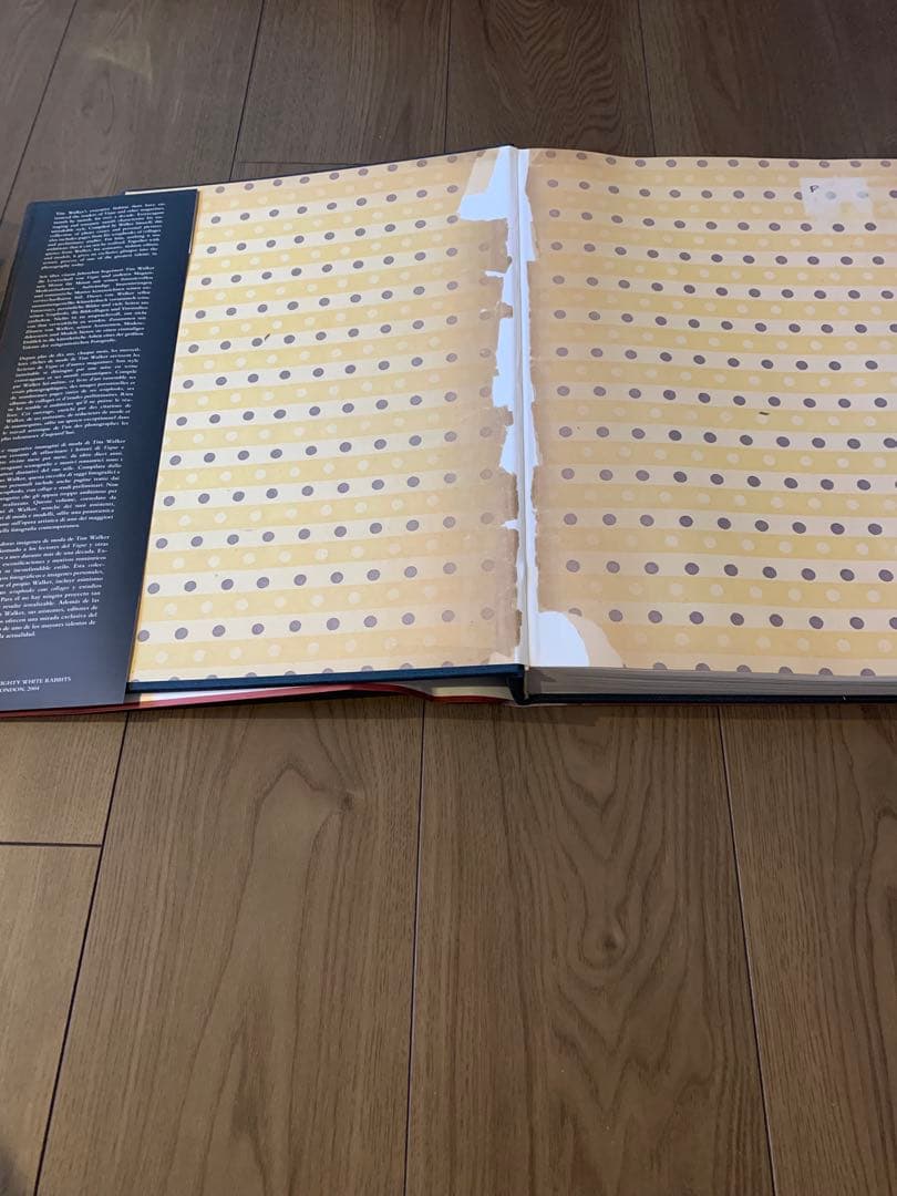 洋書 Tim walker Pictures.