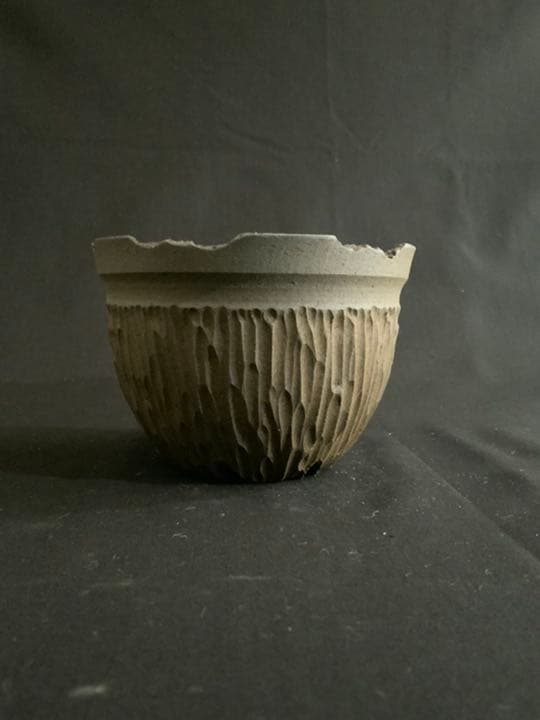 Kikko  吉光釜 激レア鉢 アガベ チタノタ グラキリス パキポディウム