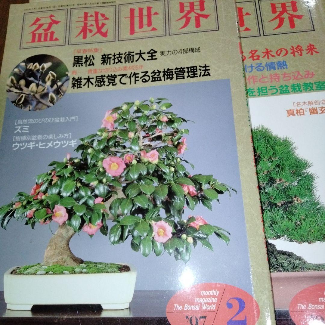 盆栽世界 1995-1997年 31冊　盆栽　BONSAI　平成　園芸　希少本