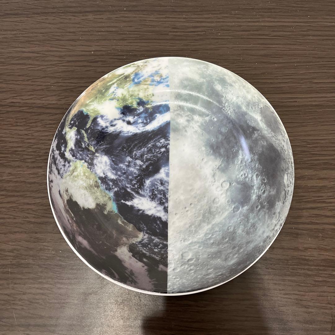 平皿(ANREALAGE × case study コラボ)