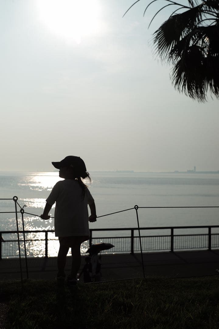 【極美品】Leica summarit 50mm f1.5 L ズマリット