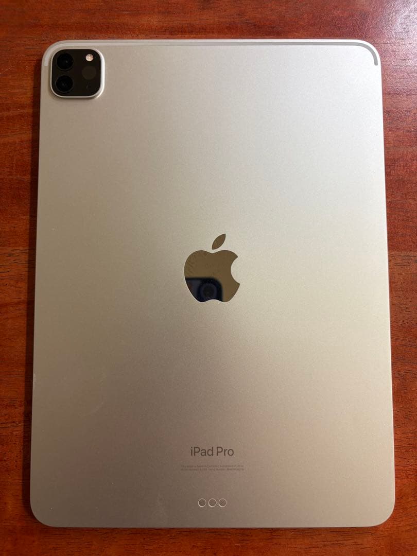 Apple iPad Pro (11インチ) 第4世代 256GB