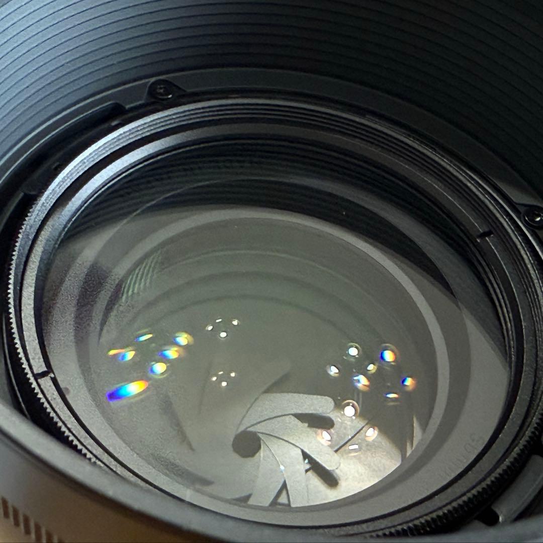 SIGMA 56mm F1.4 DC DN Lマウント シグマ単焦点レンズ