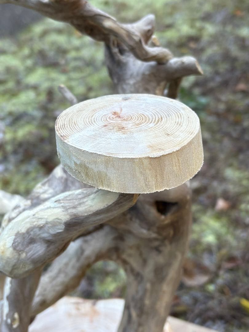 止まり木 kan_oqsm