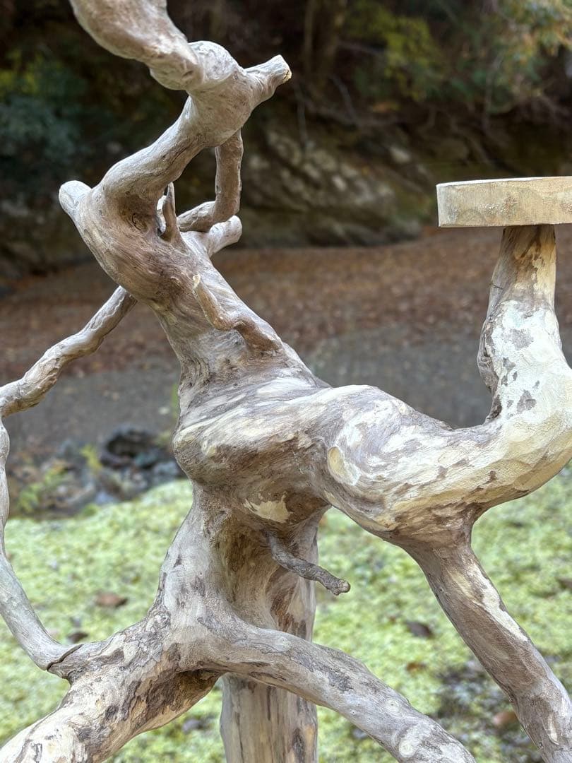 止まり木 kan_oqsm