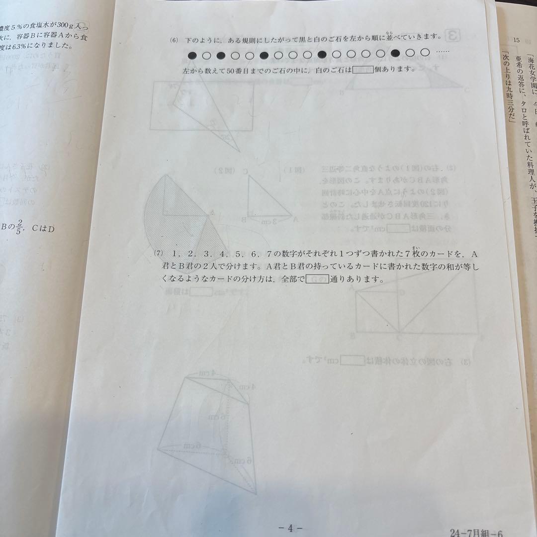 SAPIX サピックス 最新6年生2024 2025 一年間分テスト