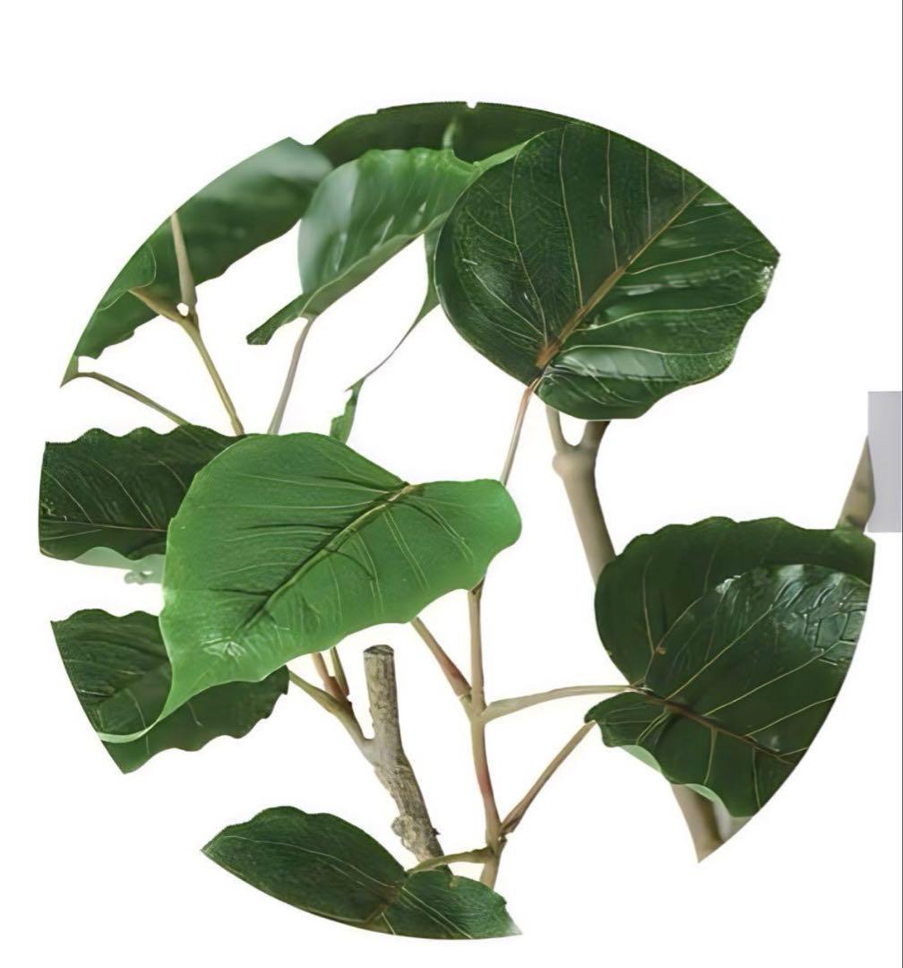 光触媒　人工観葉植物　ウォールグリーン　フェイクグリーン　インドボダイジュFST