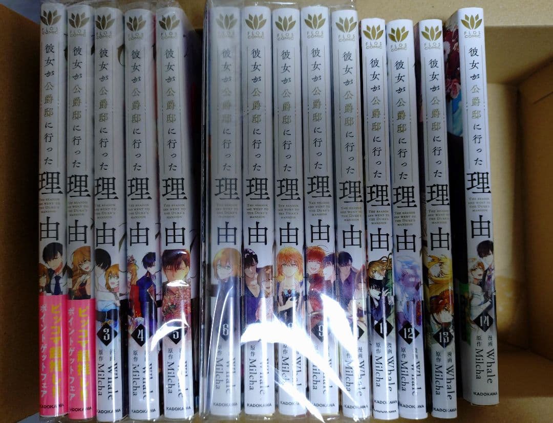 彼女が公爵邸に行った理由 全巻セット（1-14巻）