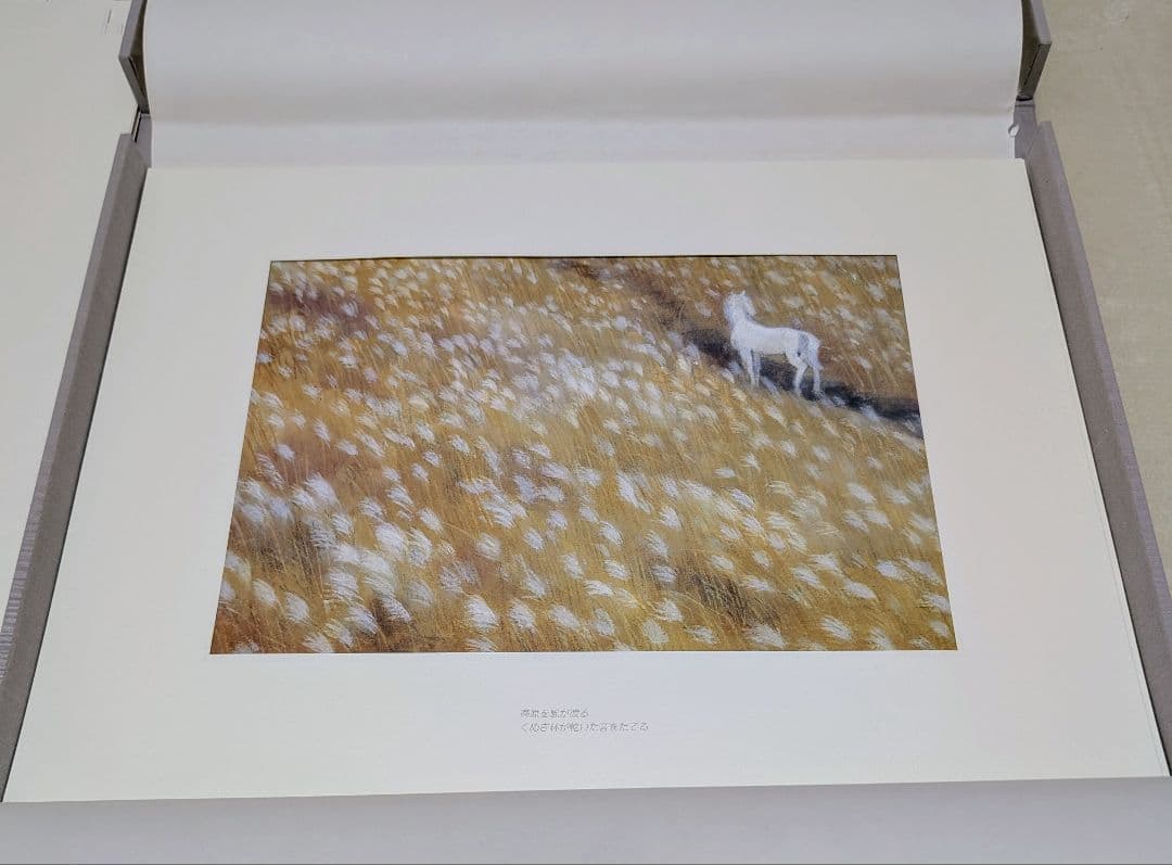 東山魁夷 作品集 『白馬幻想』日本経済新聞社 1990年