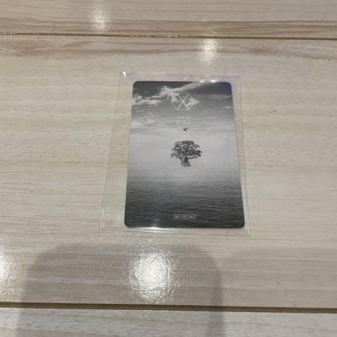 ベッキョン BIRDトレカ