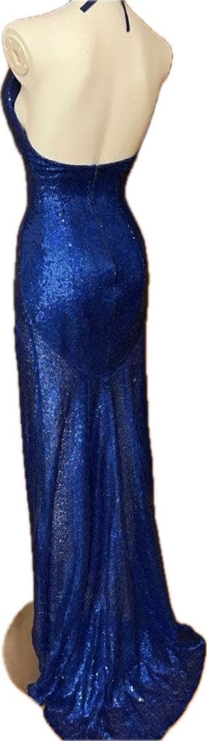 SVビキニ　ドレス　ドリームモデル　JBBF