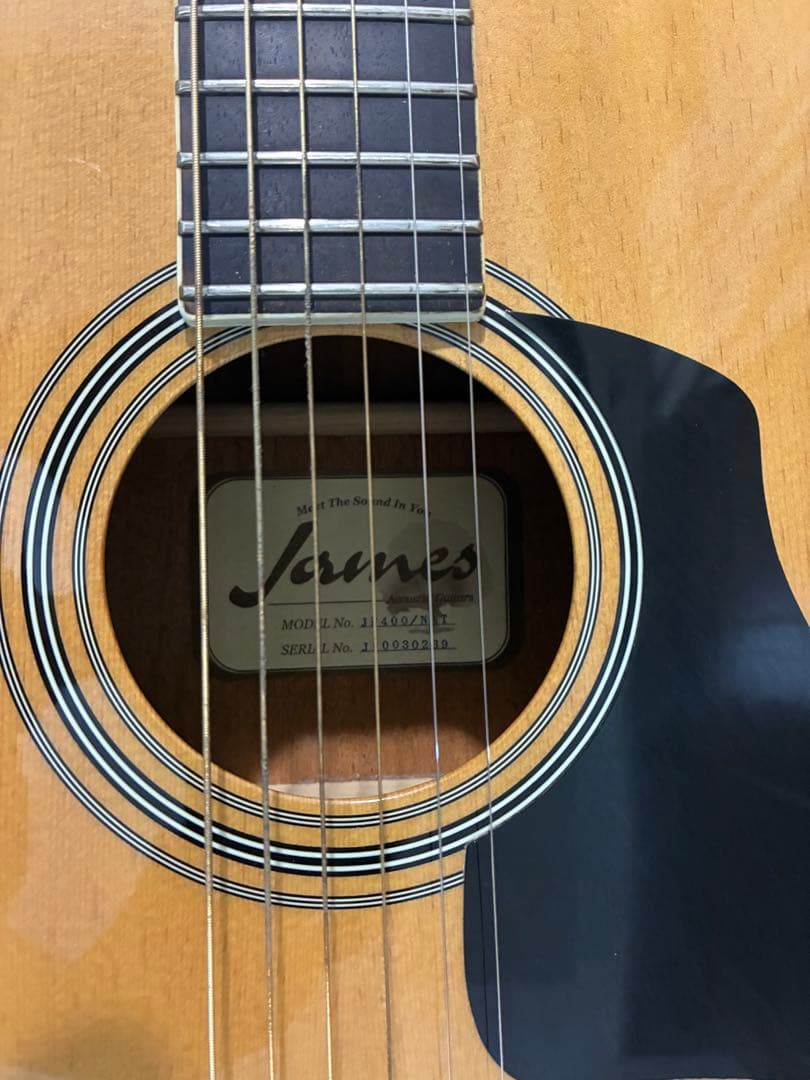 トップ単板James JF400 ＋ セミハードケースHOSCO AC-0703