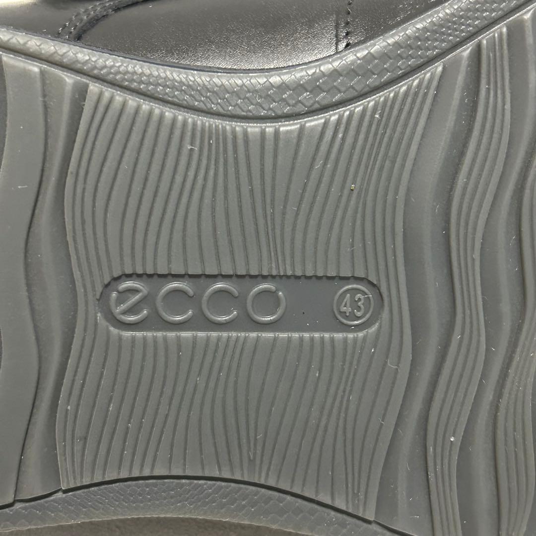ecco エコー レザーシューズ プレーントゥ レースアップ 外羽根 【43】