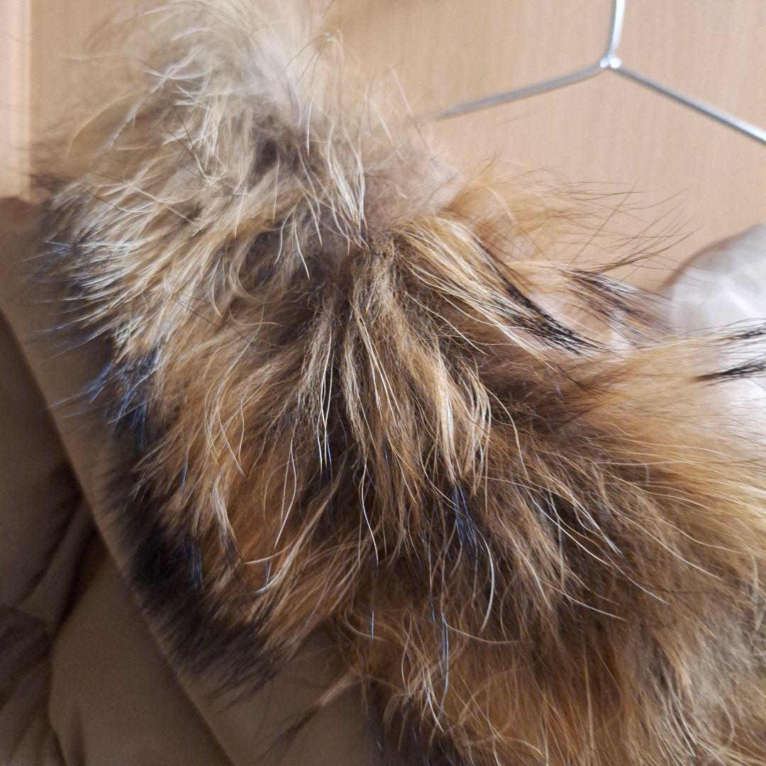 か*で様  Milk tea ママコート ダウンコート 5WAY