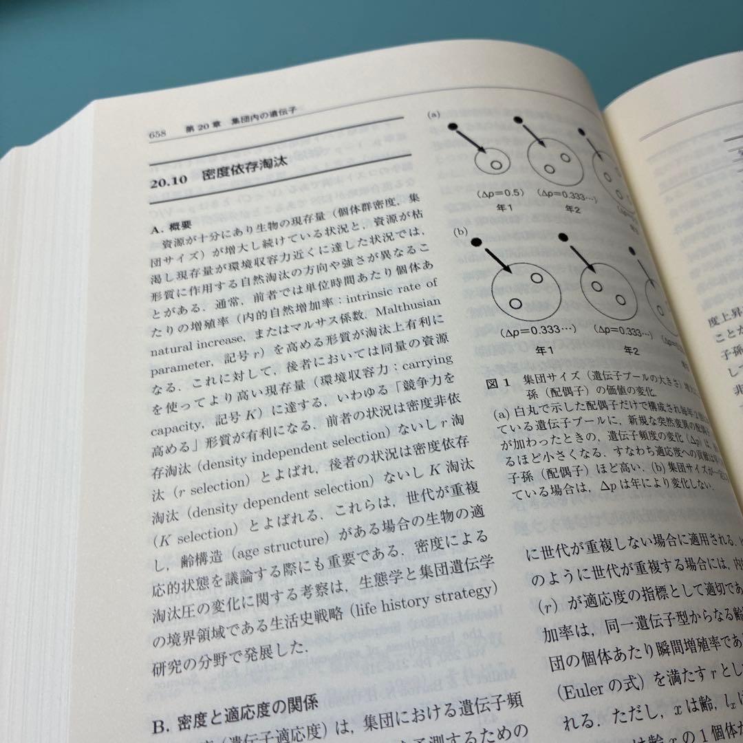 【美品】進化学事典