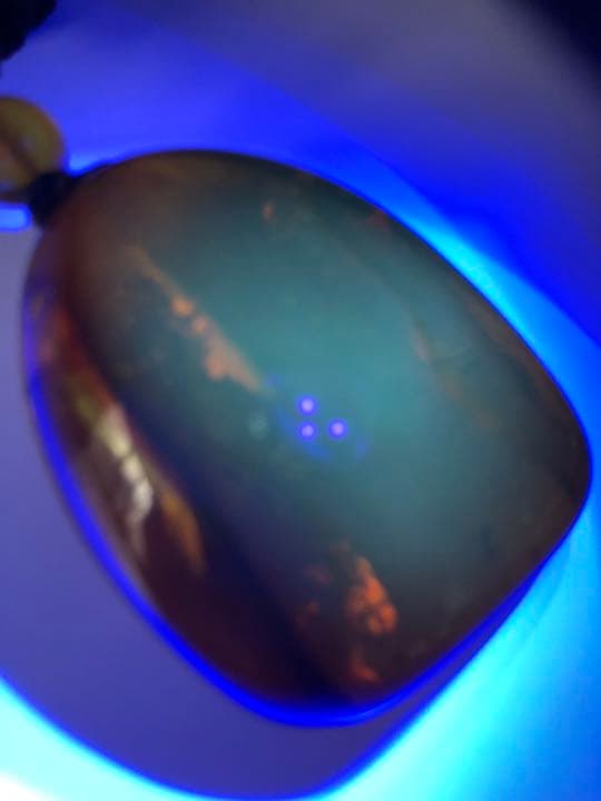 アンバー 琥珀 ユニーク 天然石 虫入り ネックレス 化石 宝石