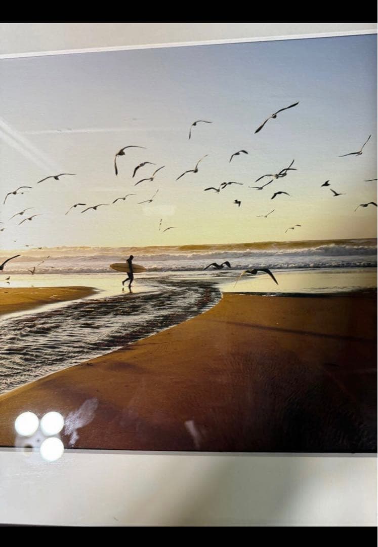 希少廃番　wtw モーガン　マッセン　フォトフレーム　BIRD モーガンマッセン