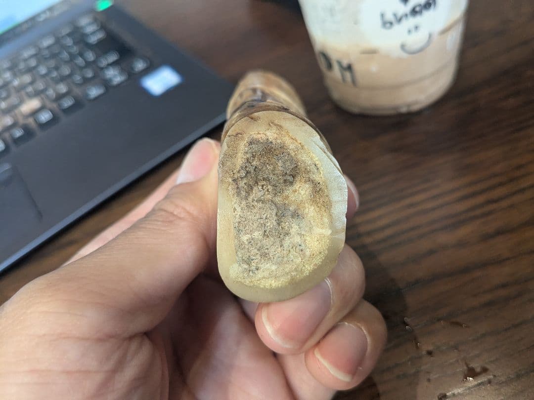 タイのお守りプラクルアン！なんかの角？骨？幸運値アップ！