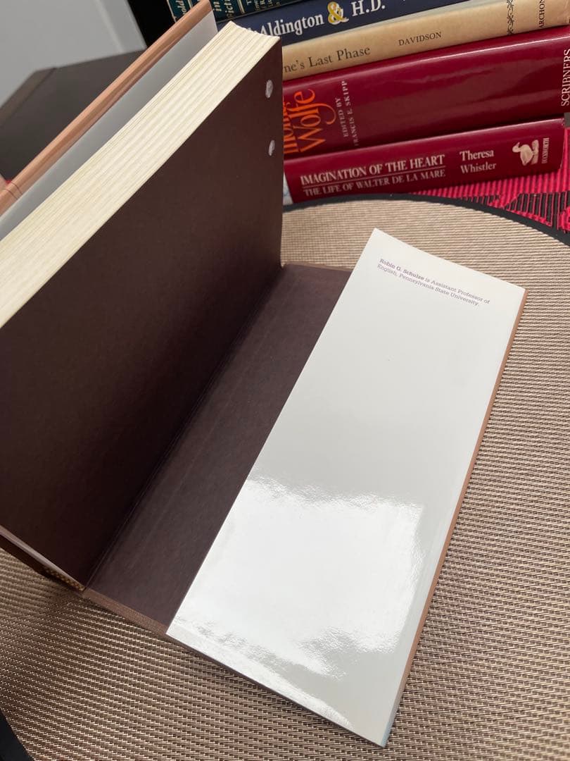 洋書 THE WEB OF FRIENDSHIP Robin G. Schulze