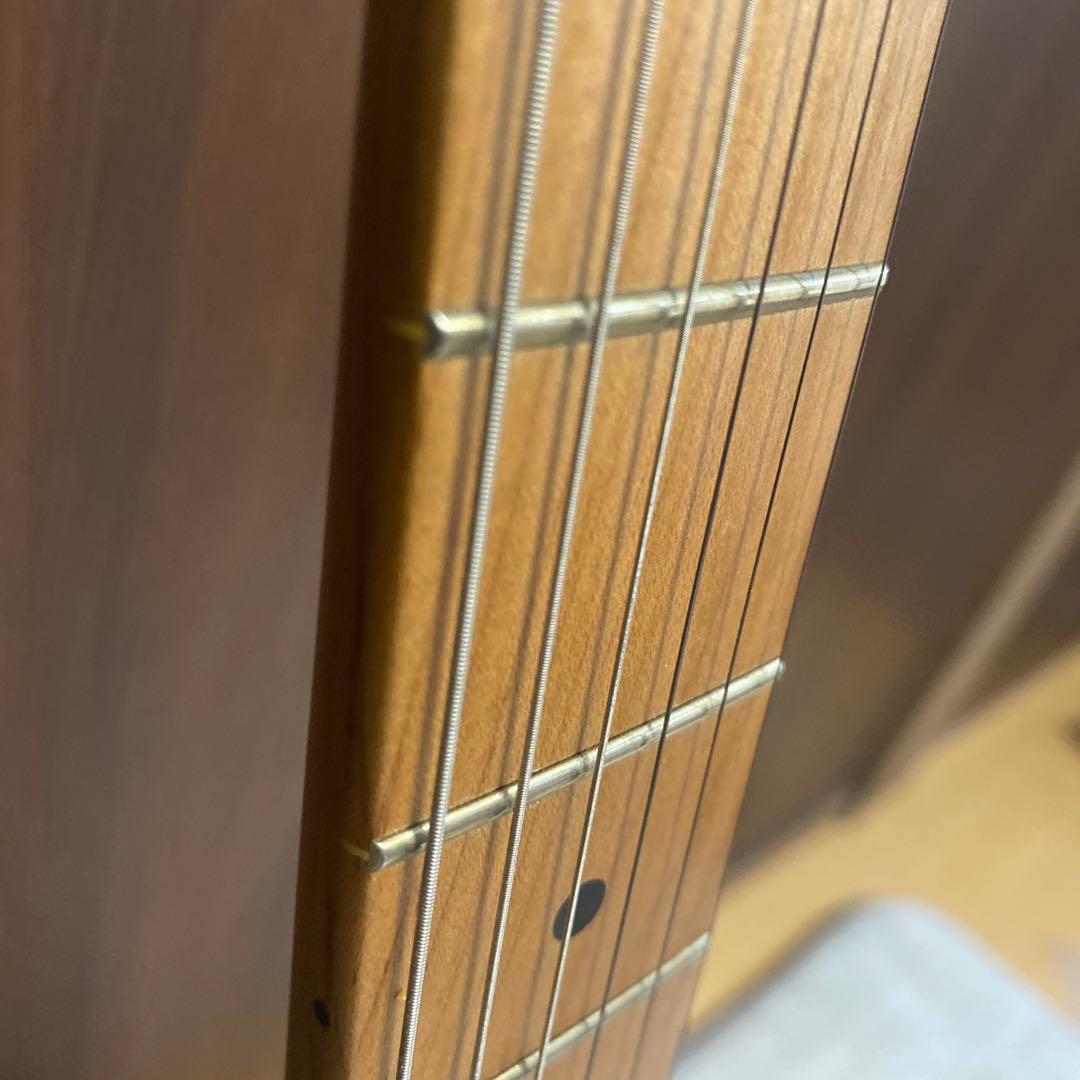 極美品 Bacchus テレキャスター エレキギター バタースコッチブロンド