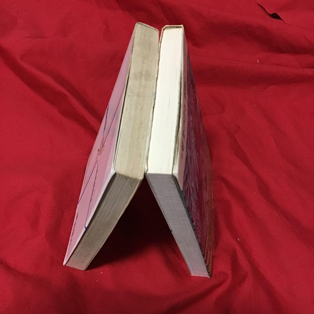 好美のぼる　2冊セット　超獣妖怪　怪盗ルパン