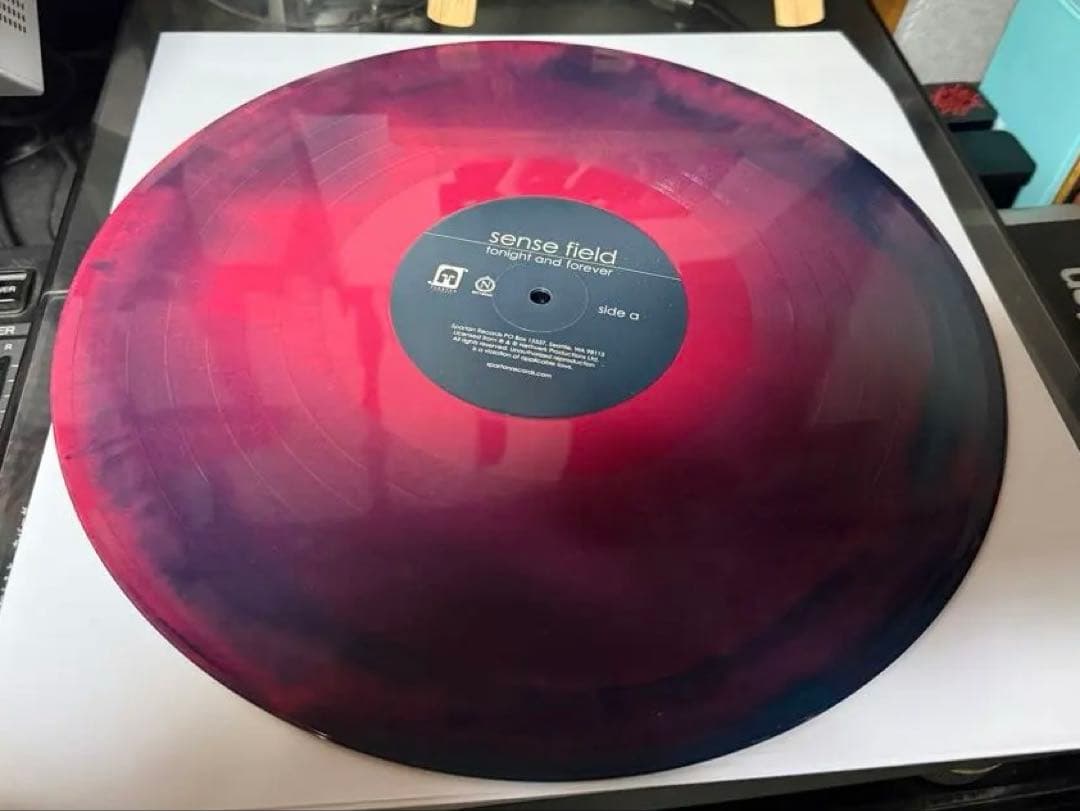 sense field / tonight and forever LP 激レア